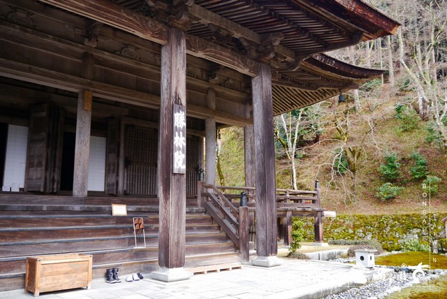 P1380365 [日本庭園]勝林院(Shorin-in Temple)