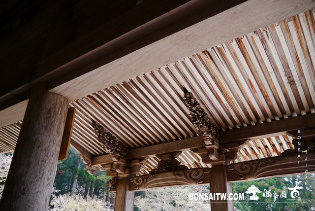 P1380378 [日本庭園]勝林院(Shorin-in Temple)