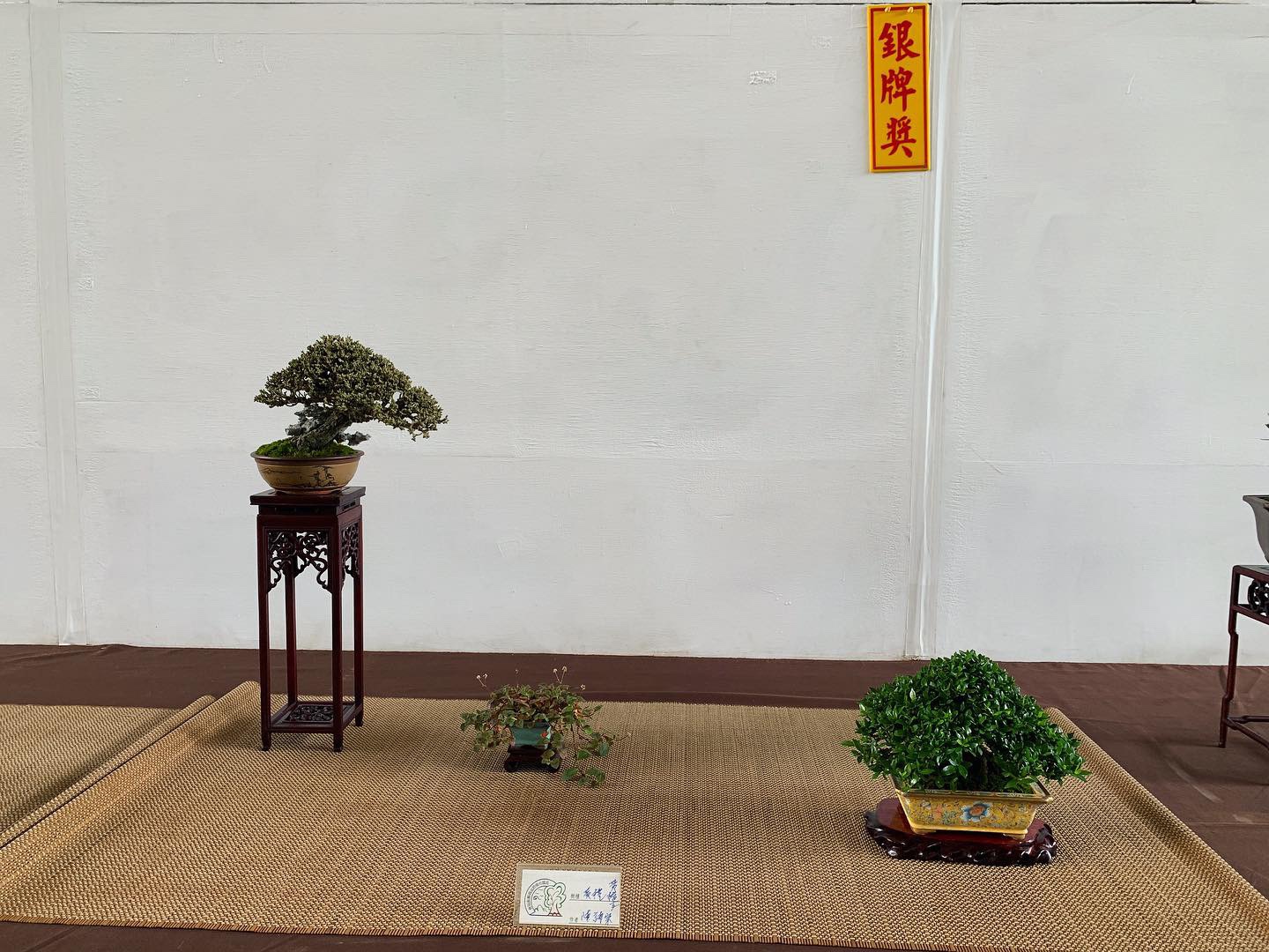 c9830b6b c46d 45b0 b8dd c585fd6181cd [展覽] 2019高雄市後勁盆栽藝術協會.盆栽展