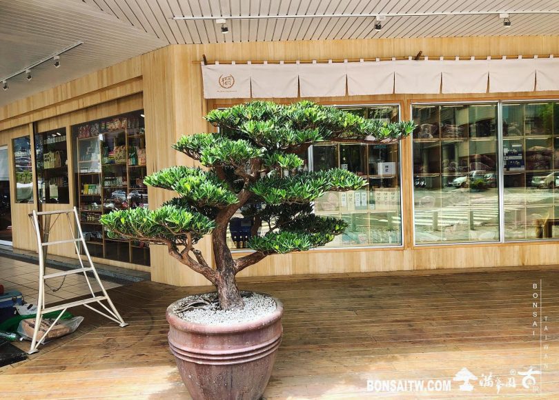 d2493df5 ba0a 414e a6f5 01faffa97b26 [客戶案例]精緻高級食材專門店 客戶案例