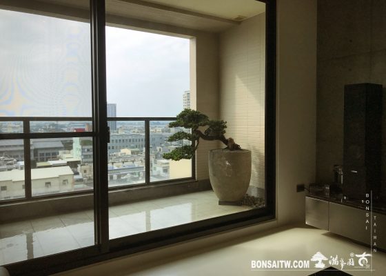 img 1972 [客戶案例]人文住宅大樓 客戶案例