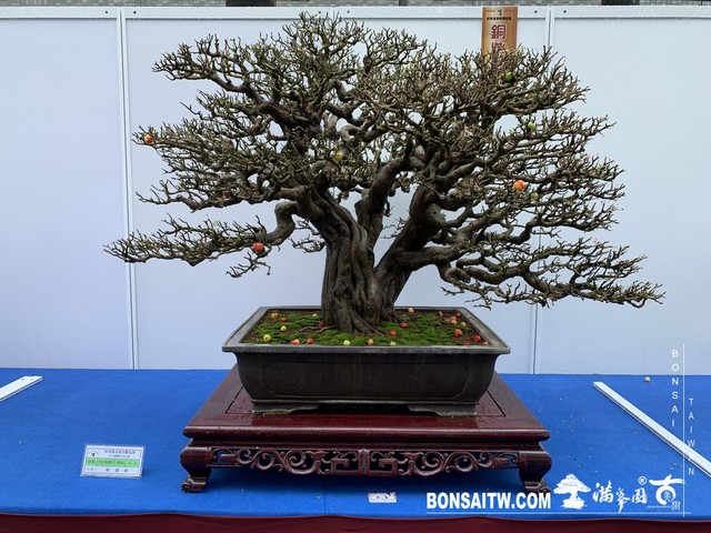 048 [展覽] 2019樹藝雅石屏光展