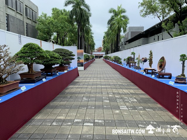 077 [展覽] 2019樹藝雅石屏光展