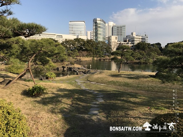 297 [日本庭園]旧芝離宮恩賜庭園．東京