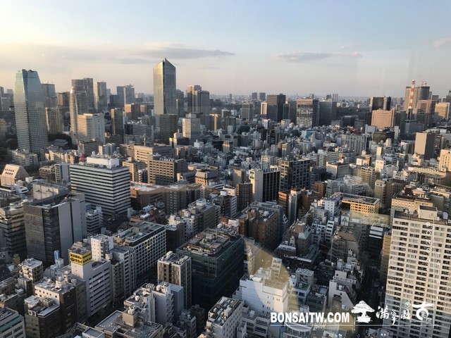 387 [日本庭園]旧芝離宮恩賜庭園．東京