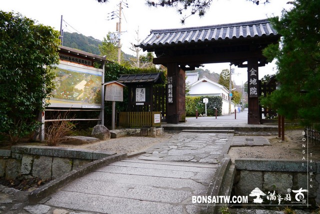 P1100192 [日本庭園]金地院．京都