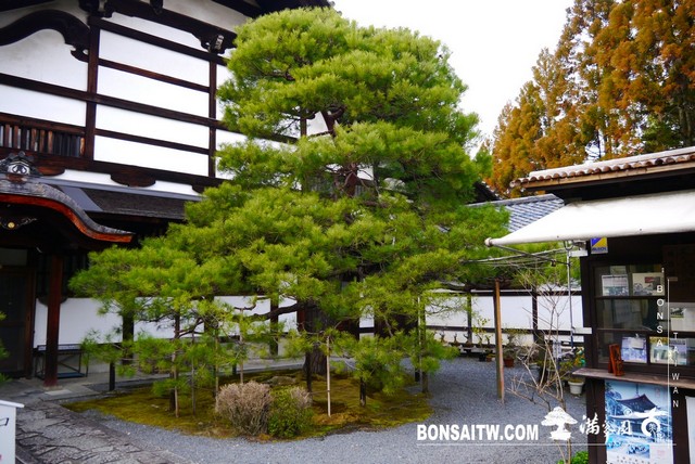P1100215 [日本庭園]金地院．京都