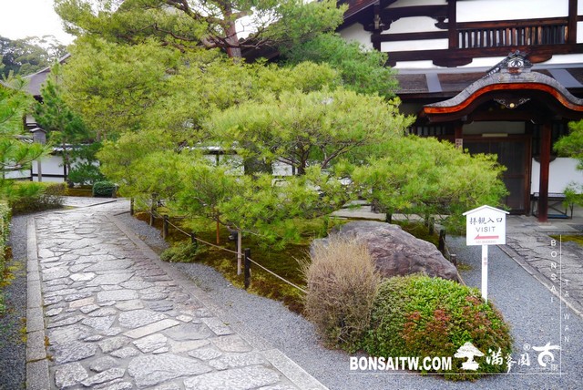 P1100217 [日本庭園]金地院．京都