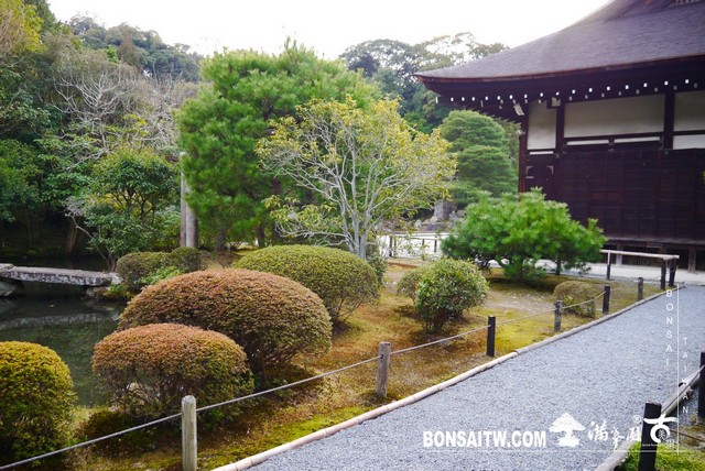 P1100238 [日本庭園]金地院．京都