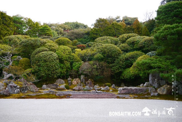 P1100294 [日本庭園]金地院．京都