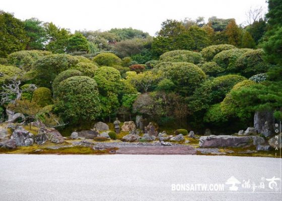 P1100300 [日本庭園]金地院．京都 2013