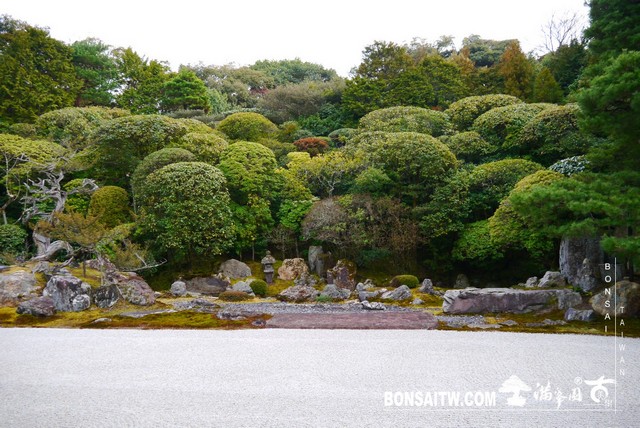 P1100300 [日本庭園]金地院．京都