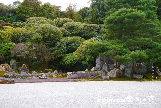 P1100306 [日本庭園]金地院．京都