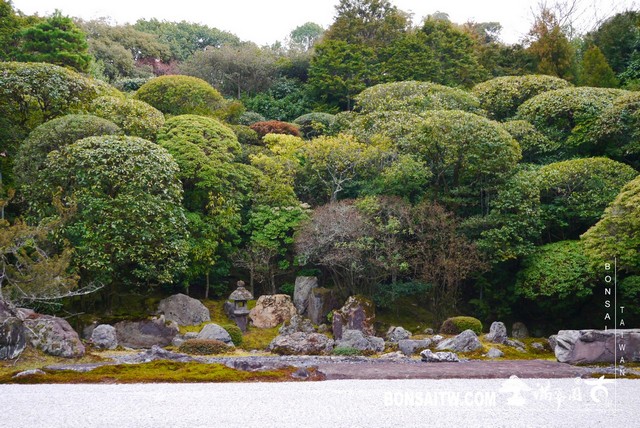 P1100326 [日本庭園]金地院．京都