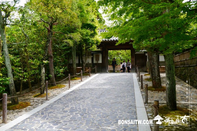 P1240321 [日本庭園]銀閣寺(慈照寺)Ginkaku-ji．京都