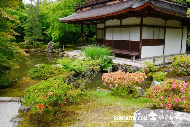 P1240389 [日本庭園]銀閣寺(慈照寺)Ginkaku-ji．京都