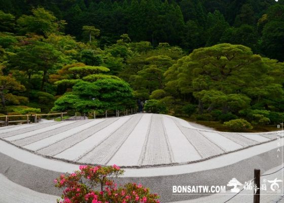 P1240403 [日本庭園]銀閣寺(慈照寺)Ginkaku-ji．京都 寺院