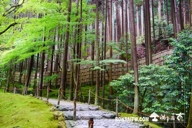 P1240524 [日本庭園]銀閣寺(慈照寺)Ginkaku-ji．京都