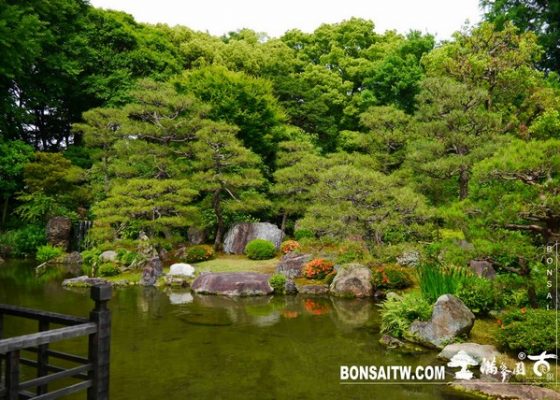 P1240858 [日本庭園]涉成園 日本