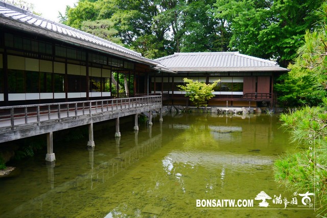 P1240861 [日本庭園]涉成園