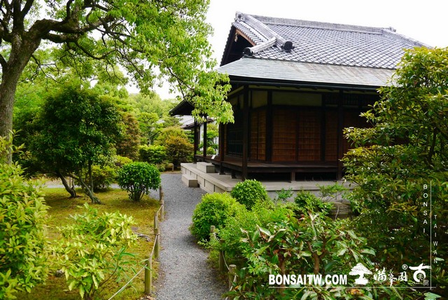 P1240867 [日本庭園]涉成園