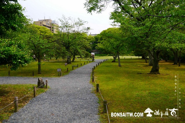 P1240871 [日本庭園]涉成園