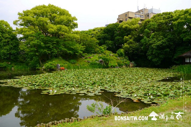 P1240894 [日本庭園]涉成園