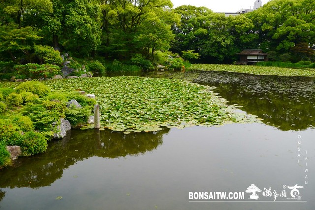P1240917 [日本庭園]涉成園