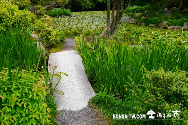 P1240927 [日本庭園]涉成園