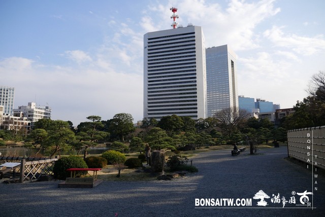 P1250009 [日本庭園]旧芝離宮恩賜庭園．東京