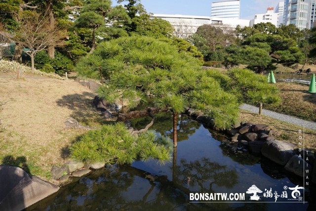 P1250033 [日本庭園]旧芝離宮恩賜庭園．東京