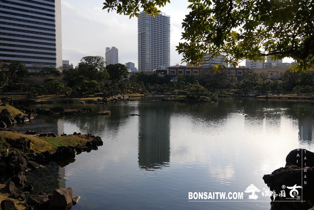 P1250047 [日本庭園]旧芝離宮恩賜庭園．東京