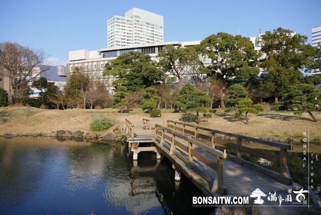 P1250057 [日本庭園]旧芝離宮恩賜庭園．東京