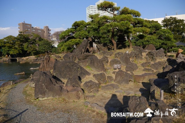 P1250059 [日本庭園]旧芝離宮恩賜庭園．東京