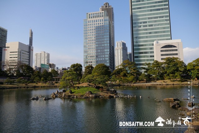 P1250064 [日本庭園]旧芝離宮恩賜庭園．東京