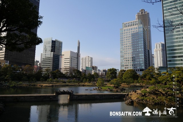 P1250074 [日本庭園]旧芝離宮恩賜庭園．東京