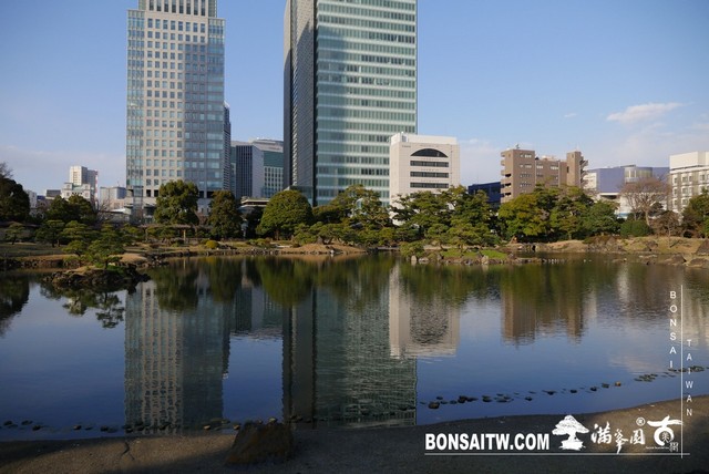 P1250080 [日本庭園]旧芝離宮恩賜庭園．東京