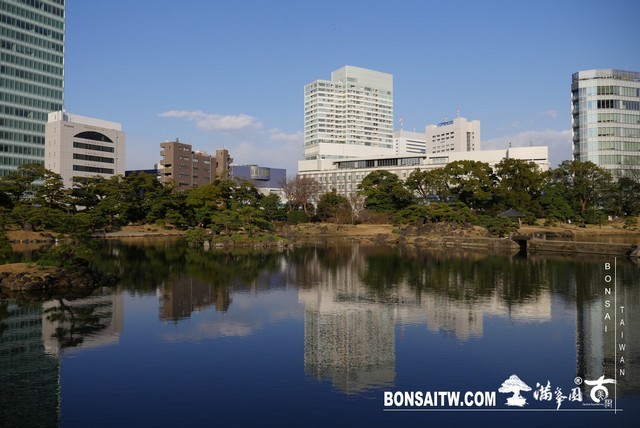 P1250087 [日本庭園]旧芝離宮恩賜庭園．東京
