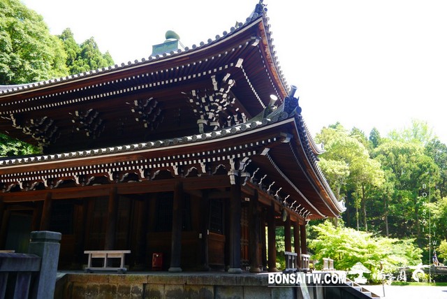 P1260053 [日本庭園]知恩院．京都