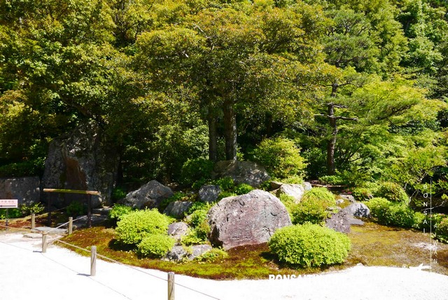 P1260069 [日本庭園]知恩院．京都