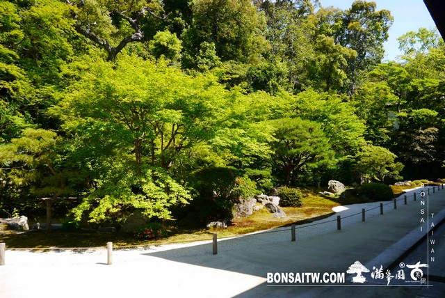 P1260101 [日本庭園]知恩院．京都