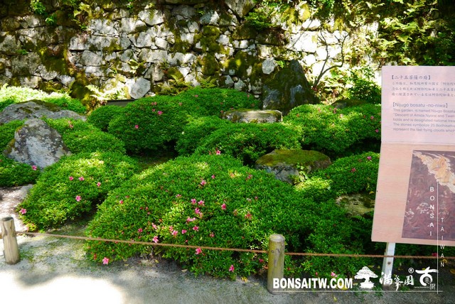 P1260115 [日本庭園]知恩院．京都
