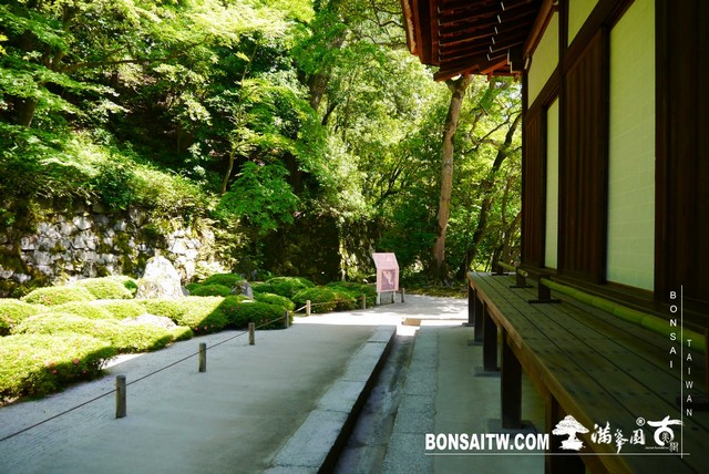 P1260126 [日本庭園]知恩院．京都