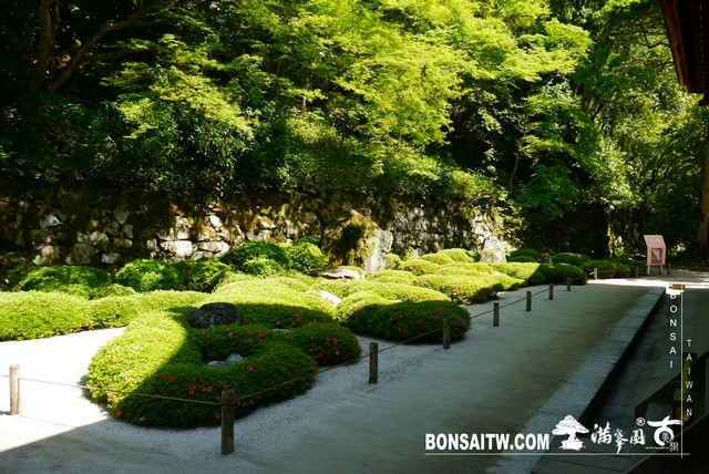 P1260128 [日本庭園]知恩院．京都
