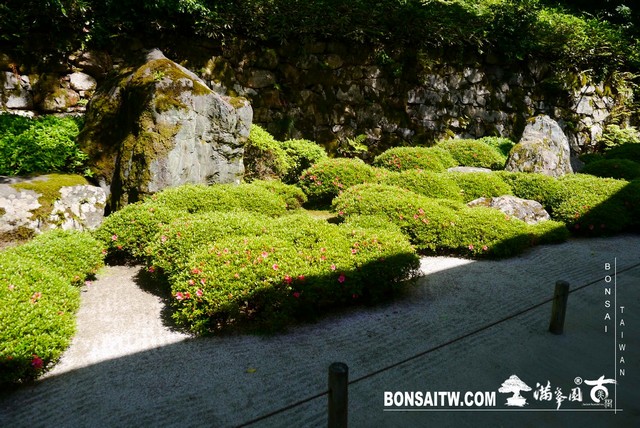 P1260149 [日本庭園]知恩院．京都