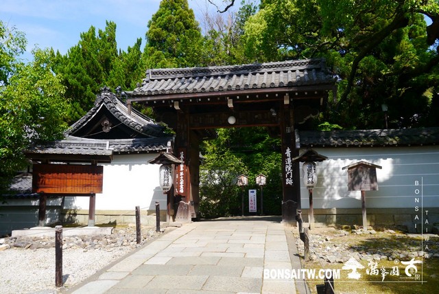 P1260226 [日本庭園]青蓮院．京都