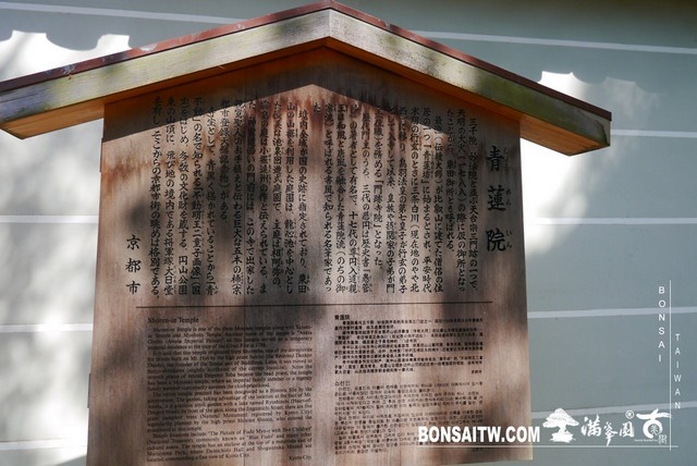 P1260230 [日本庭園]青蓮院．京都