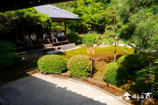 P1260236 [日本庭園]青蓮院．京都