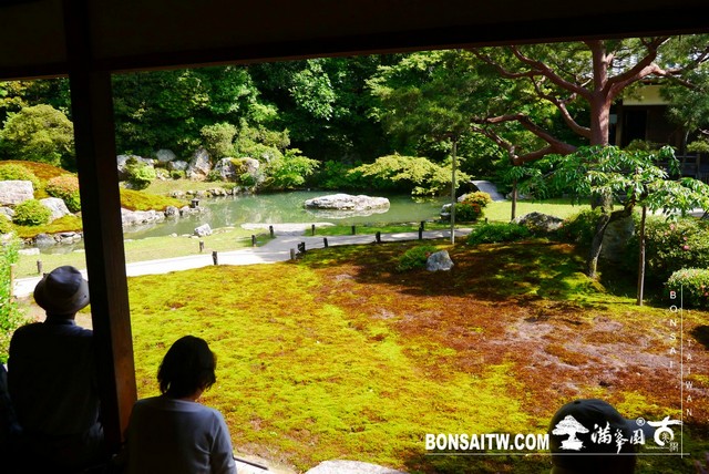 P1260250 [日本庭園]青蓮院．京都