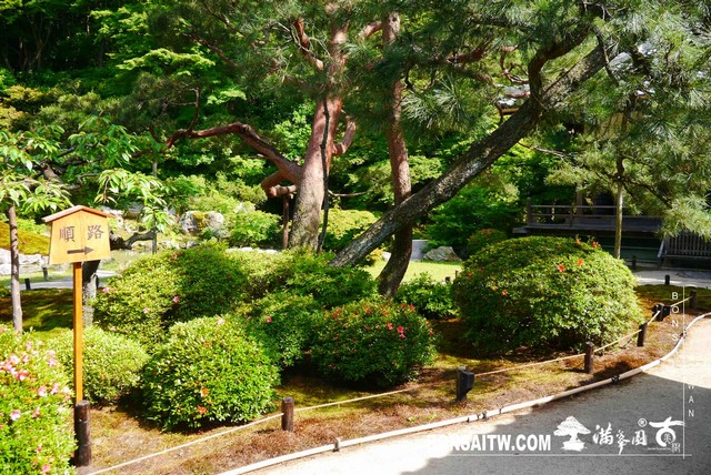 P1260286 [日本庭園]青蓮院．京都